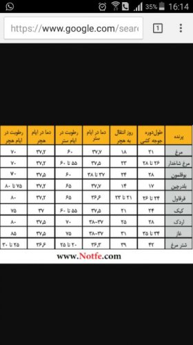 اموزش ساخت دستگاه جوجه کشی خانگی با کم ترین هزینه و بالاترین کارایی