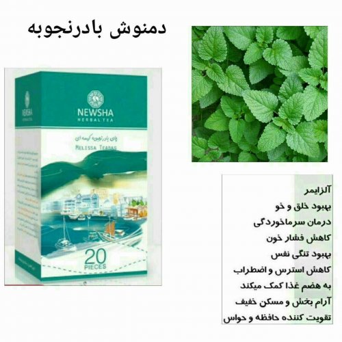 دمنوش بادرنجبویه نیوشا