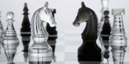 3 راز از استاد شطرنج، کسی که یکی از کارآفرینان موفق آمریکا شد.