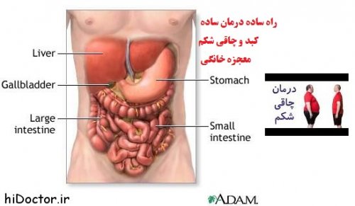 نسخه ویدئویی معجزه درمان بیماریهای کبد(چرب و ...) و لاغری شکمی با این روش ساده این ویدئو تبلیغاتی نیست