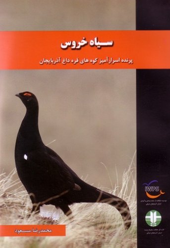 سیاه خروس قفقازی
